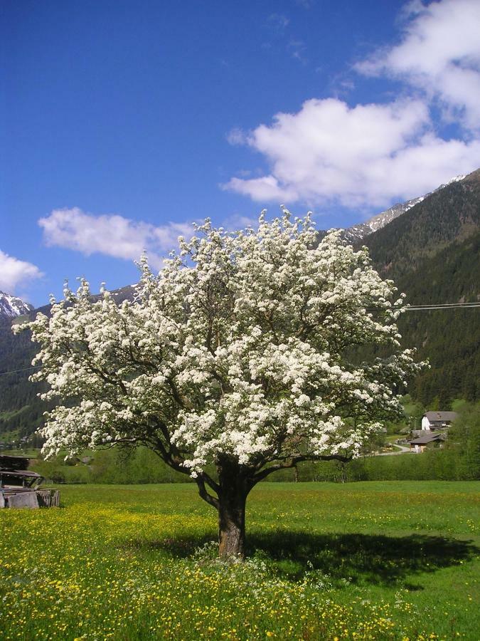 Muellerhof Villa Anterselva di Mezzo Exterior photo