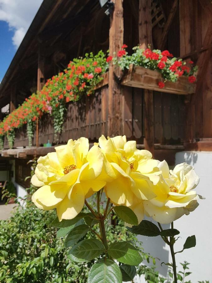 Muellerhof Villa Anterselva di Mezzo Exterior photo
